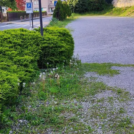 Konukevi Miro' Dreams 3*