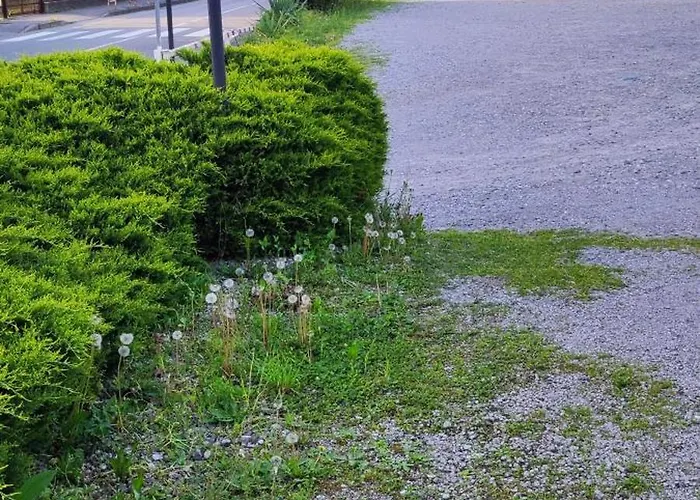 בית הארחה Miro' Dreams 3*